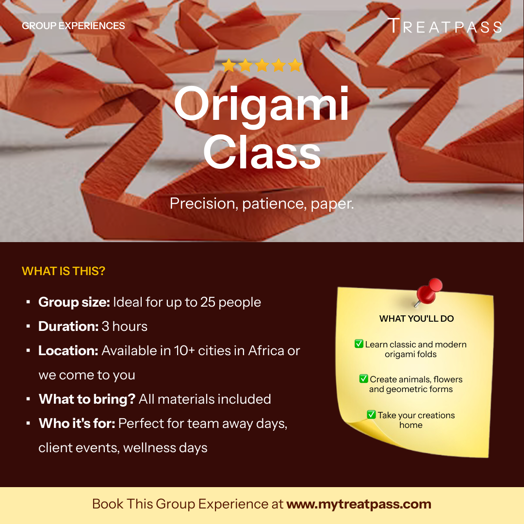 Origami Class group experience – TreatPass Africa