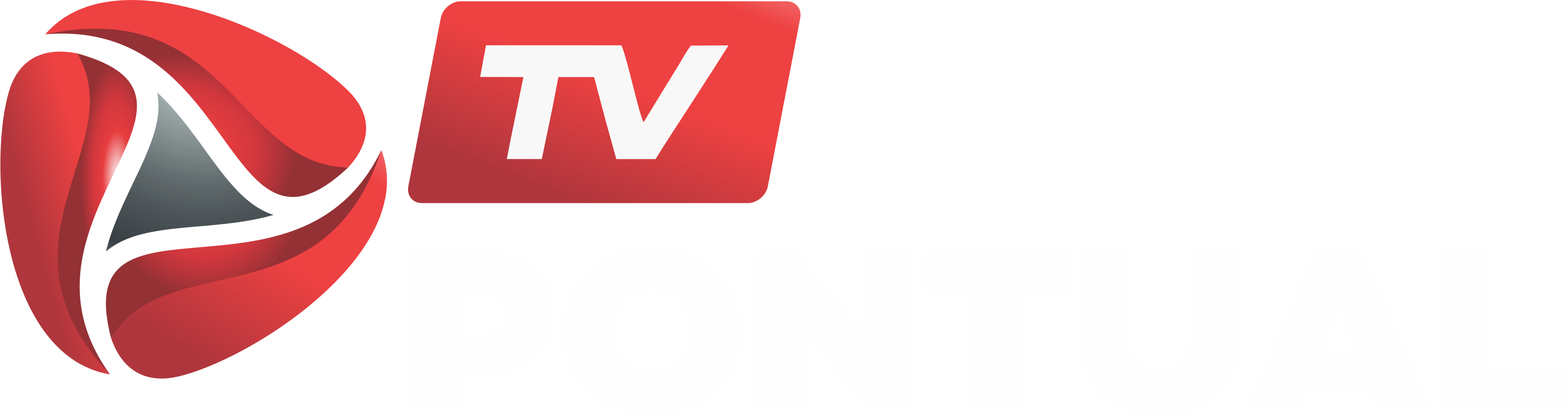 TV Pontual