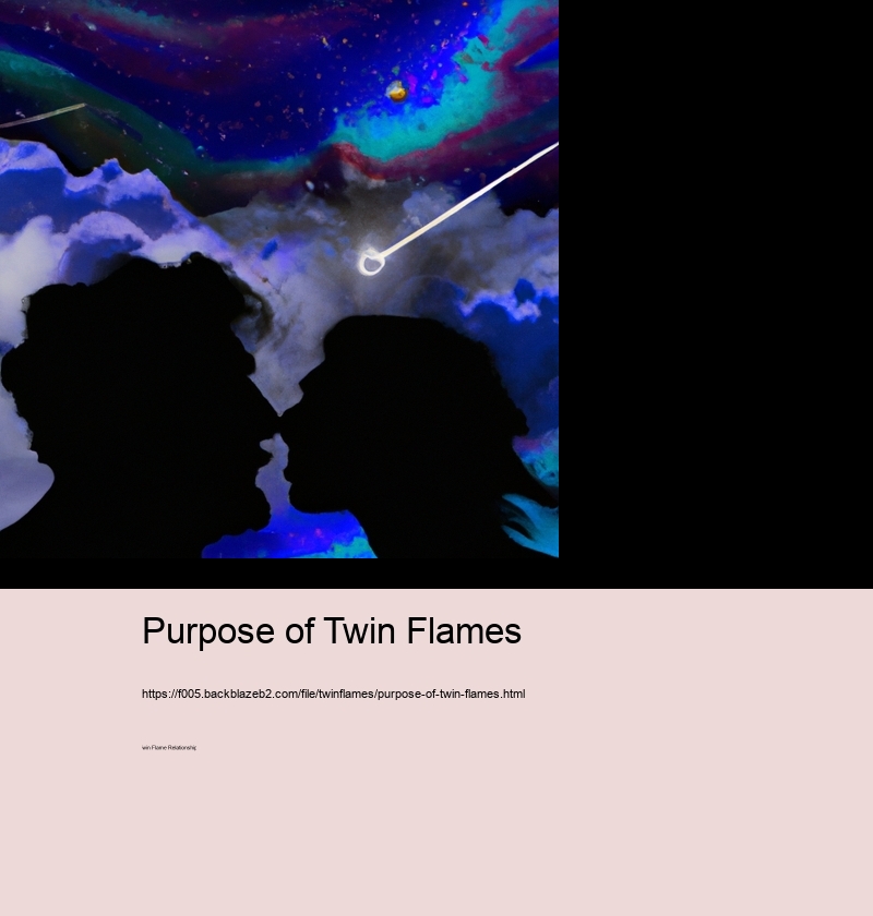Purpose of Twin Flames