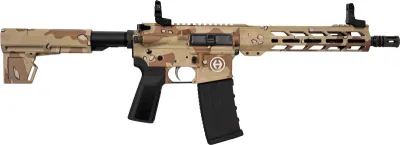 HIPOINT PISTOL HP-15 5.56 - 10.5in. 30RD BLADE BRACE STORM