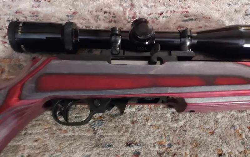 Ruger Full Custom 10-22, EVERY PART IS CUSTOM!