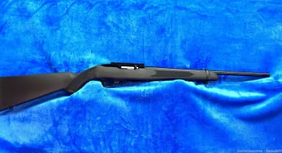 Ruger 10/22 Carbine with Black Synthetic Stock - 10rd Magazine Model 31210