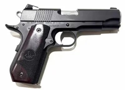Dan Wesson Guardian FREE SHIPPING!!!!!!