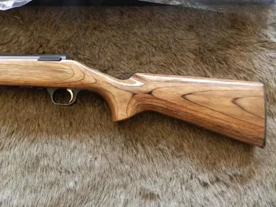 Browning A Bolt 22 LR 22" Blue CONSECUTIVE PAIR NIB