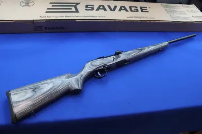 Savage Arms Model A17 TS Semi Auto Rifle 17 HMR Gray Laminate 47006 17HMR