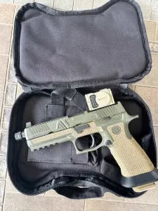 Agency Sig P320 with Acro P-2