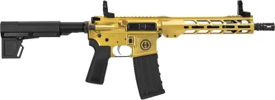 HIPOINT PISTOL HP-15 300 AAC - 10.5in. 30RD BLADE BRACE GOLD