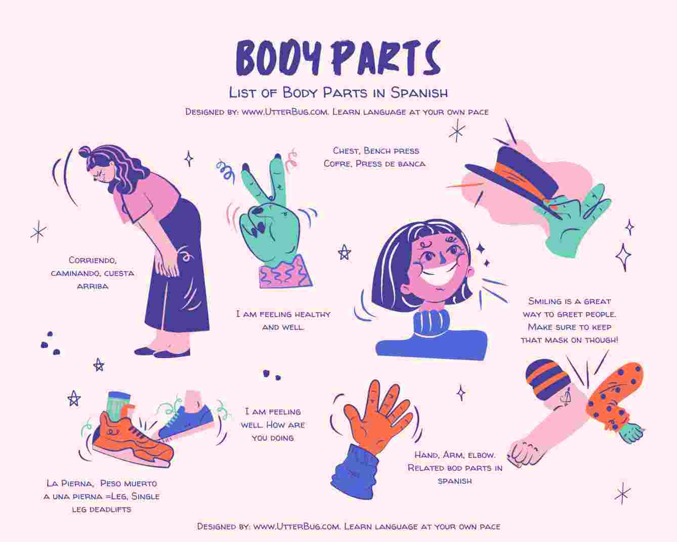 Infographics of Parts Of Body In Spanish