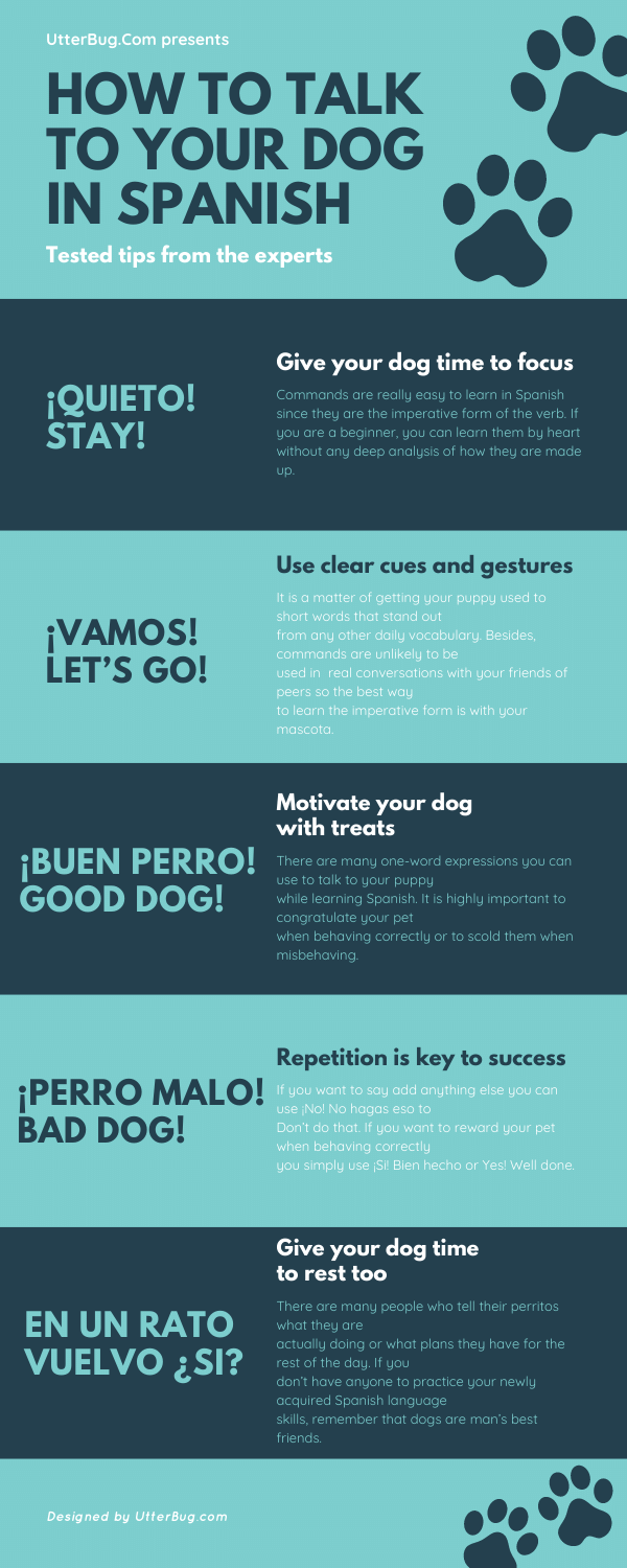 Infographics of How To Talk To Your Dog In Spanish