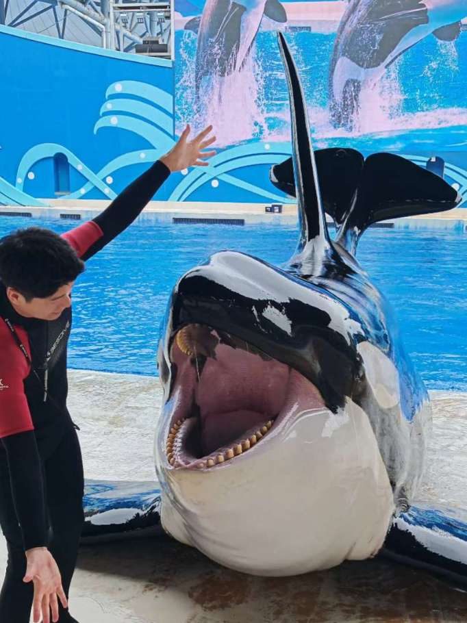 Douyin video: What's in the aquarium? by Facing the Sea