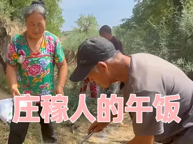 Douyin video: Deep in the Loess Plateau, outsiders can never truly understand the weight of a bowl of mi by Farmer Da Chun