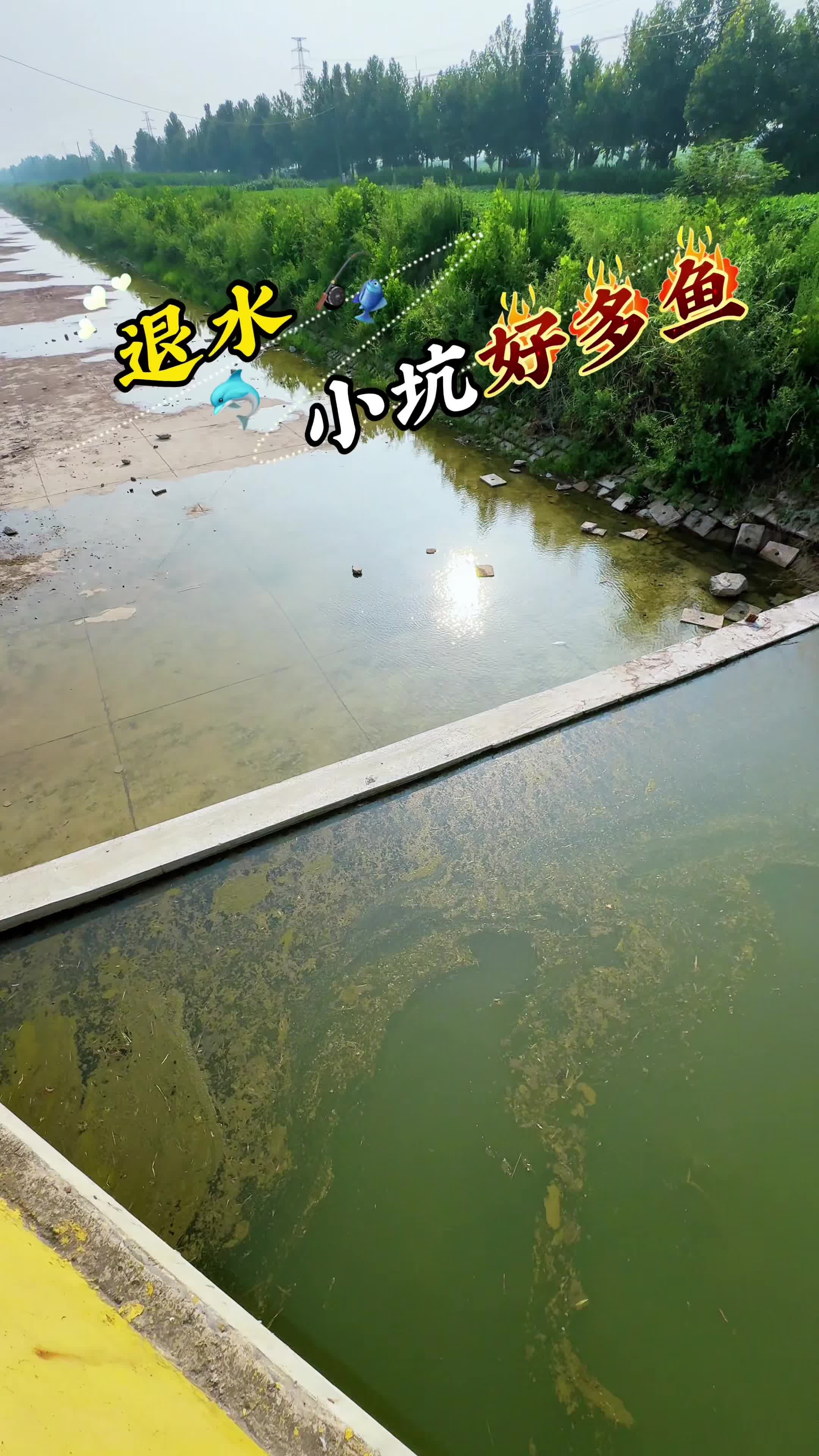 Douyin video: Good thing I found them in time, or these fish would have gone cold! by Xiangzi Fishing