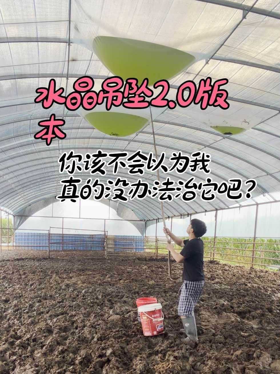 Douyin video: My dad says I'm being dramatic for doing some work, but he doesn't know how it feels. I ha by Zhang Yida