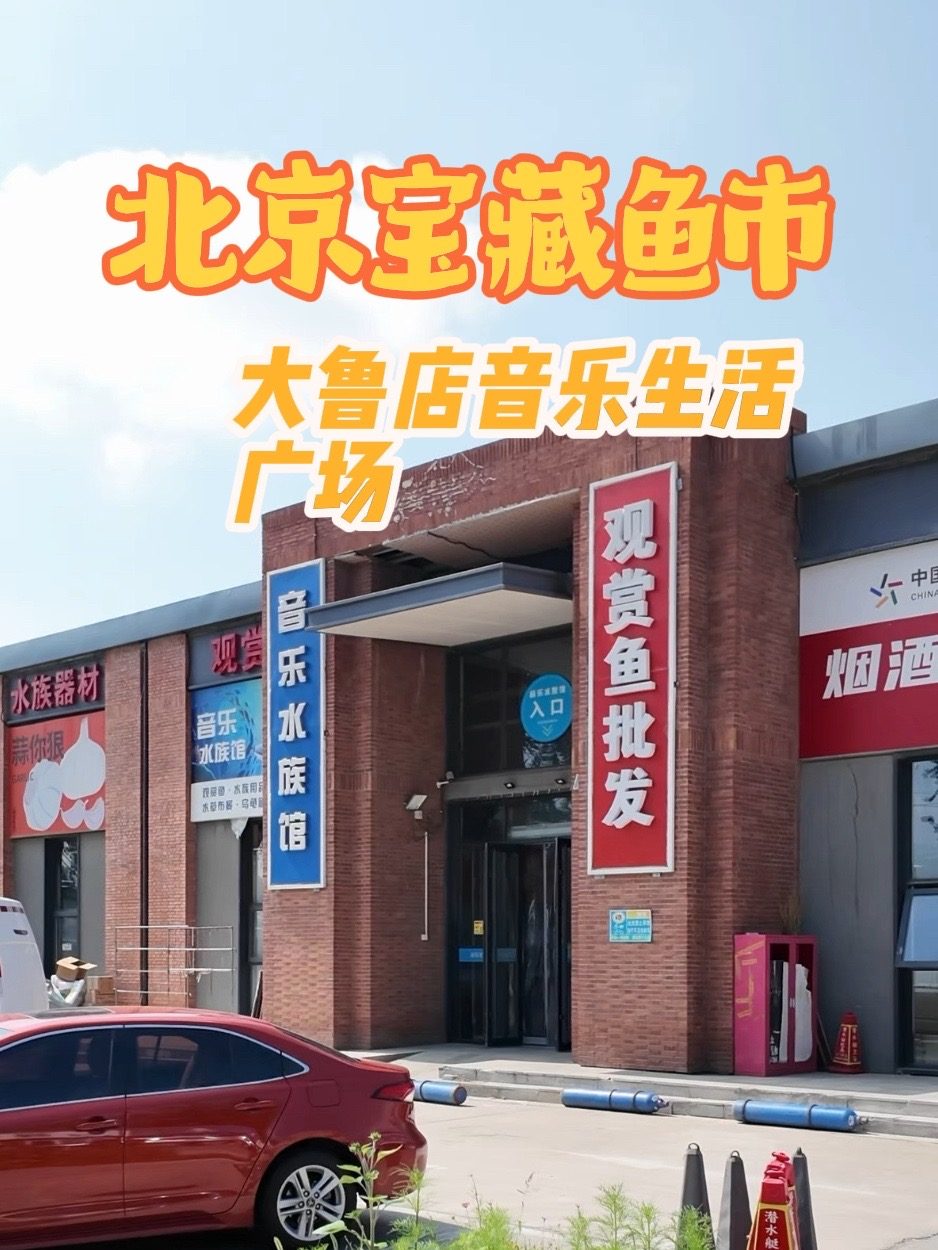 Douyin video: Beijing's Hidden Fish Market by I Love Fish A La You