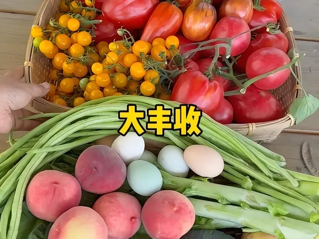 Douyin video: Chengdu's 150-square-meter rooftop vegetable garden has a big harvest again! by Hero's Rooftop Vegetable Garden