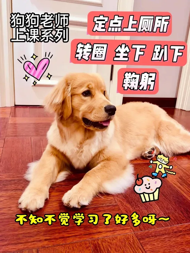 Douyin video: Puppy Parents, Learn 5 Skills in One Video by 小刘不是训犬师?