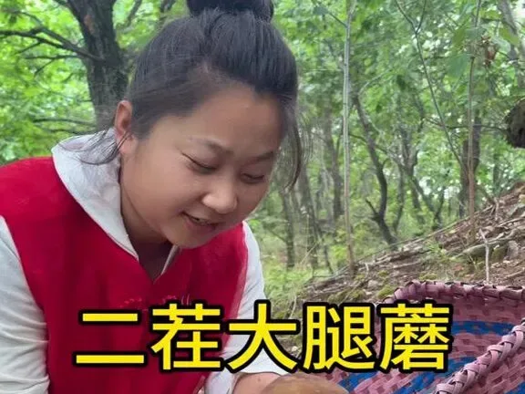 Douyin video: The second batch of large potatoes is growing well! by Xiao Hong (Northeast Dayong)