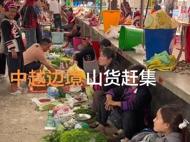 Douyin video: Visiting a border market, you can always find strange and unique mountain goods. Is there  by @小罗乡野