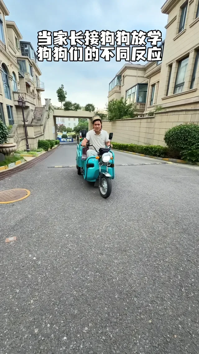Douyin video: Different parents picking up dogs after school 😂 by Daily Life of Xiaoshuai