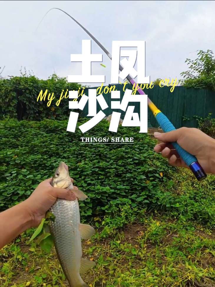 Douyin video: Today I filmed my thighs. Two fish didn't come to the surface, the more I think about it,  by Nai Si Mao Er