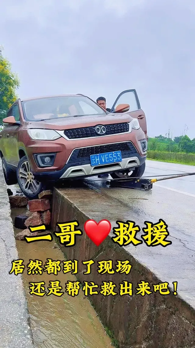 Douyin video: Can Someone Please Help? by Wenshan Second Brother