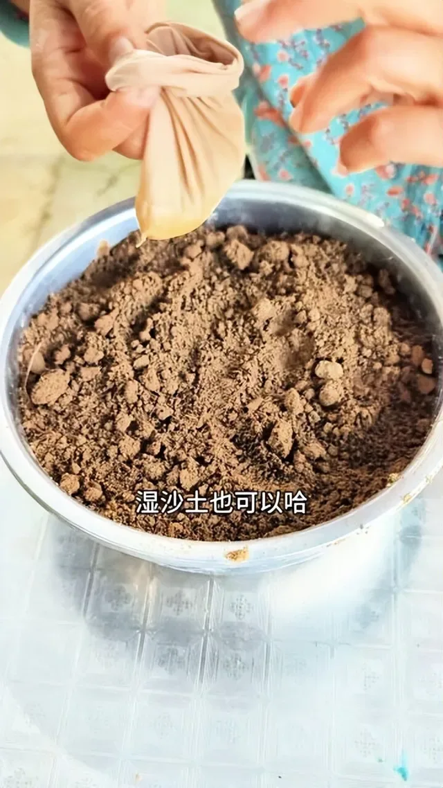 Douyin video: How to Grow Celery by Sister Yang the Lettuce