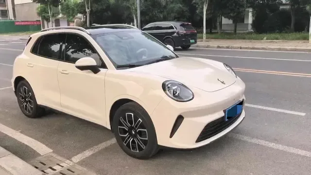 Douyin video: I Got My Car: I Chose the Ora 5 Fuel Version Max. Any Fellow Car Owners? Let’s Gather! by Echo✨