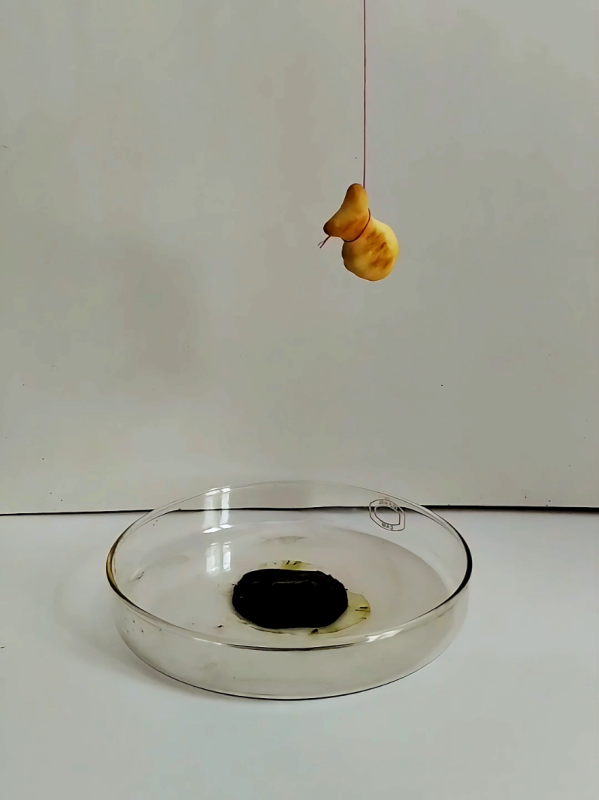 TikTok video by @fendepom using the sound Powerful dark futuristic science fiction film music(1536393)