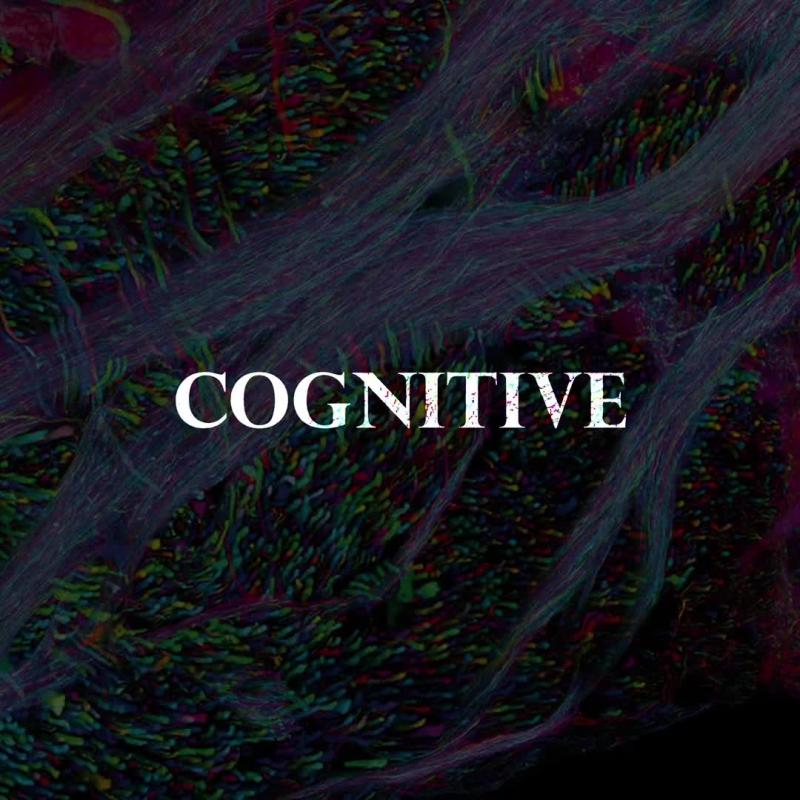 TikTok video by @shadow_mind__ using the sound Powerful dark futuristic science fiction film music(1536393)