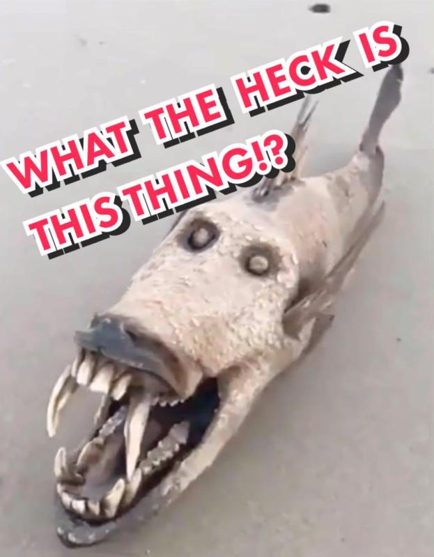 TikTok video by @officialtiktokscience using the sound Edge