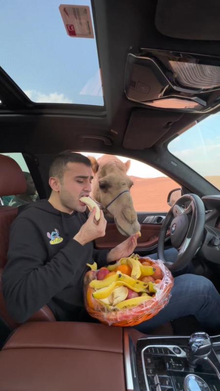 TikTok video by @cznburak using the sound It's Corn