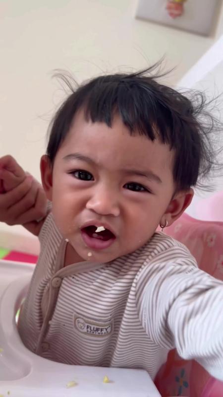 TikTok video by @riaricis using the sound [Animals and dishes] Cute BGM