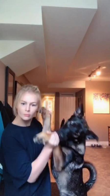TikTok video by @kallmekris using the sound Bad Guy
