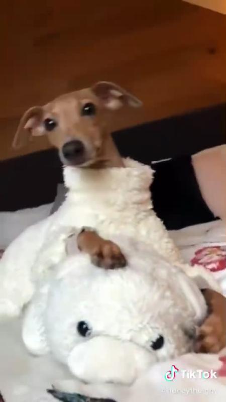 TikTok video by @arianagrande using the sound positions