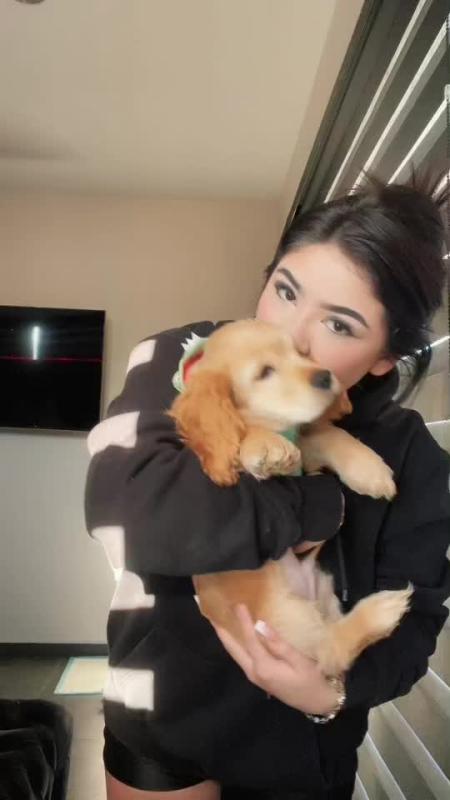TikTok video by @montpantoja using the sound Tu Pollo