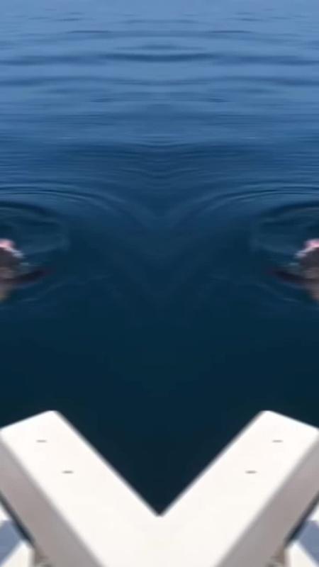 TikTok video by @scarysea20 using the sound Hoist The Colours - Bass Singers Version