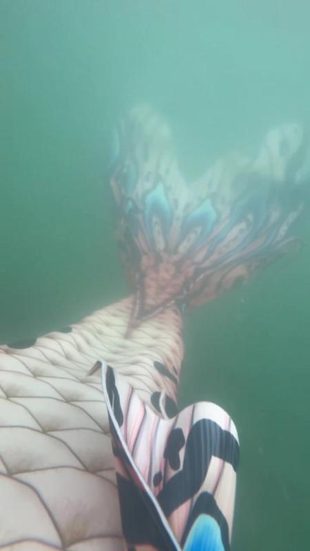 TikTok video by @thenewforestmermaid using the sound Hoist The Colours (A Cappella)