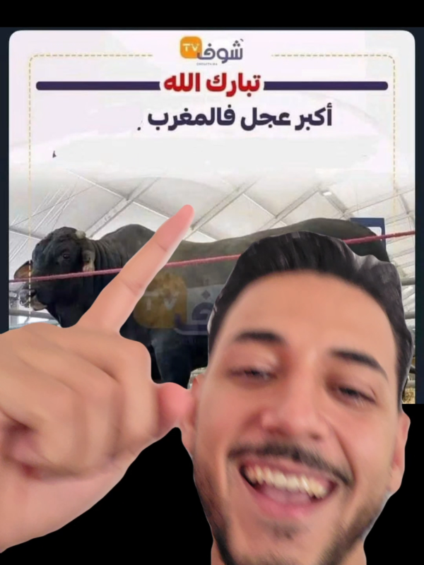 TikTok video by @alids1999 using the sound Saxophones getting louder - Sped Up