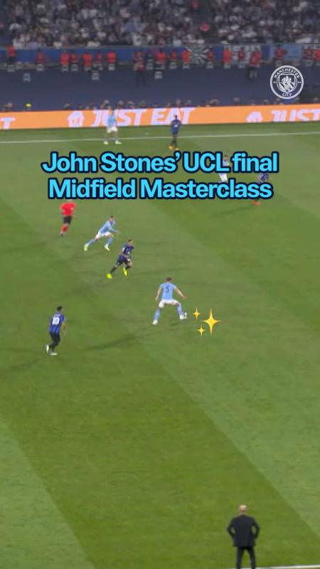 TikTok video by @mancity using the sound Stray.wav