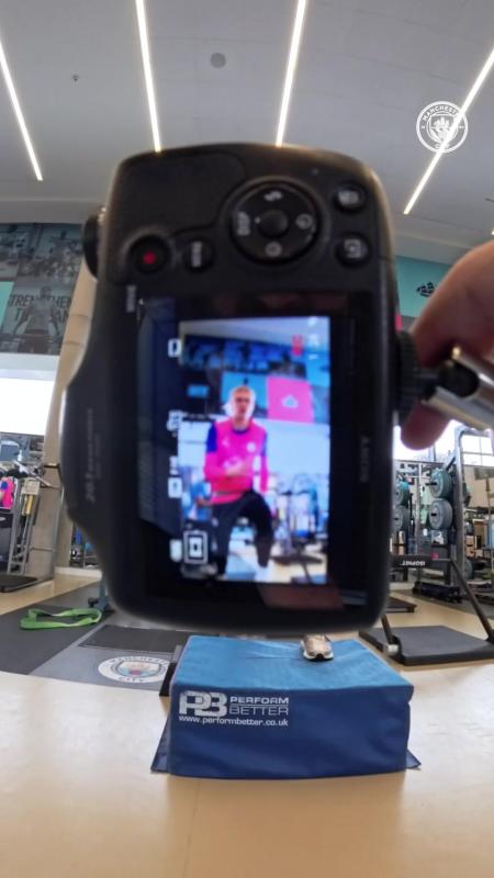 TikTok video by @mancity using the sound Stray.wav
