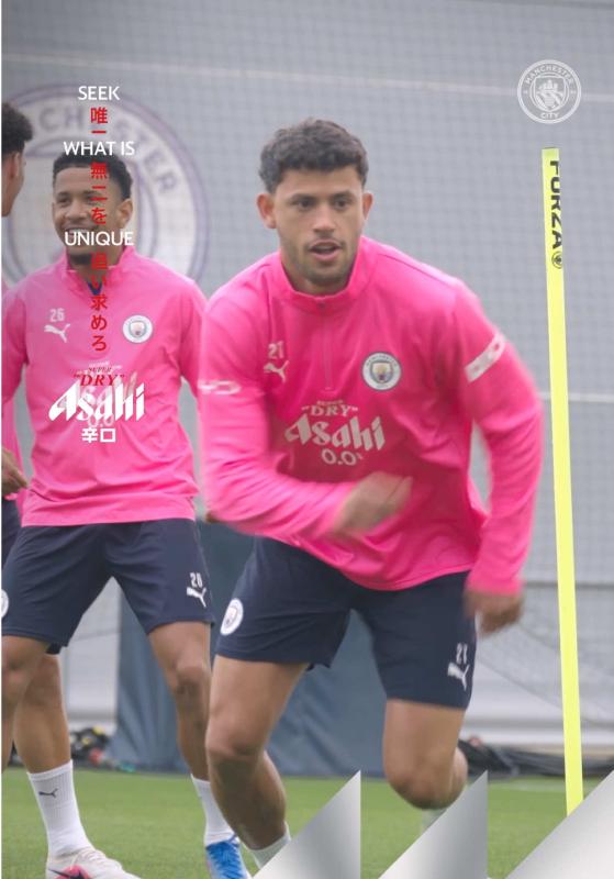 TikTok video by @mancity using the sound Stray.wav