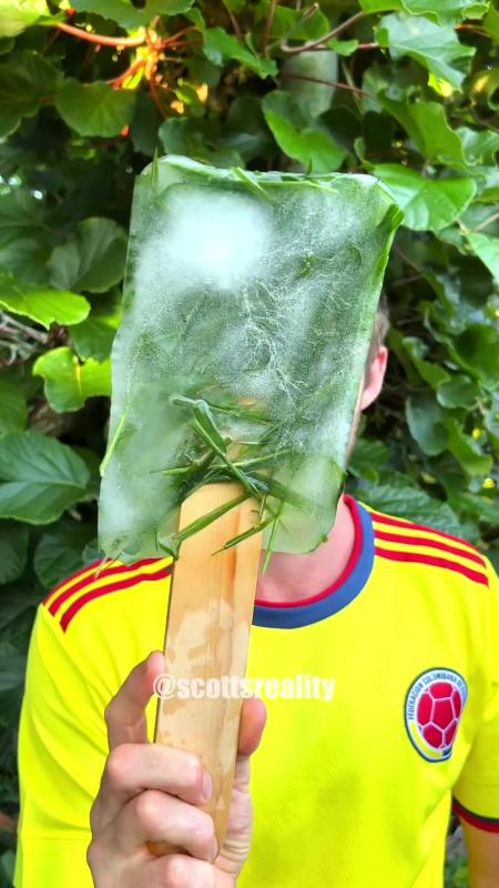 Video de TikTok de @scottsreality con el sonido Ice Ice Baby