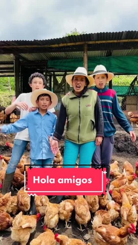 TikTok video by @lagranjadelborrego using the sound The Nights