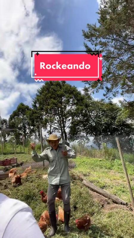 TikTok video by @lagranjadelborrego using the sound He Could Be The One