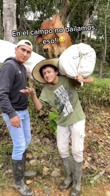 TikTok video by @lagranjadelborrego using the sound Nuestra Canción (feat. Vicente García)