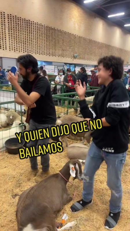 TikTok video by @lagranjadelborrego using the sound Nuestra Canción (feat. Vicente García)