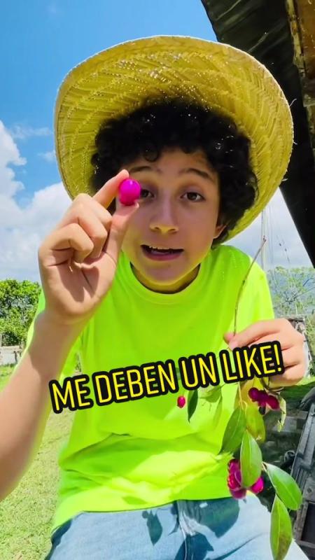 TikTok video by @lagranjadelborrego using the sound Nuestra Canción (feat. Vicente García)