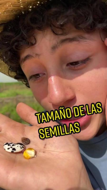 TikTok video by @lagranjadelborrego using the sound Mon Amour - Remix