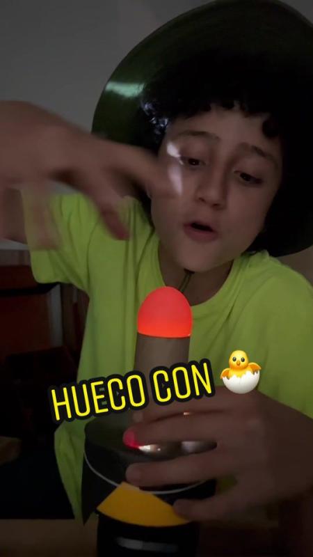 TikTok video by @lagranjadelborrego using the sound SAOKO