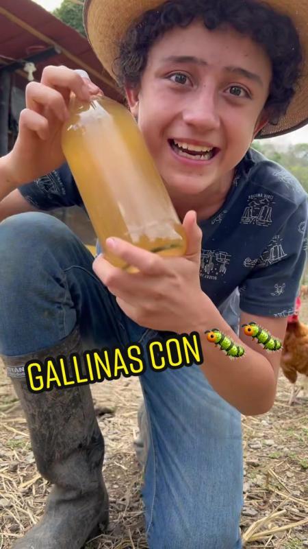 TikTok video by @lagranjadelborrego using the sound Envolver
